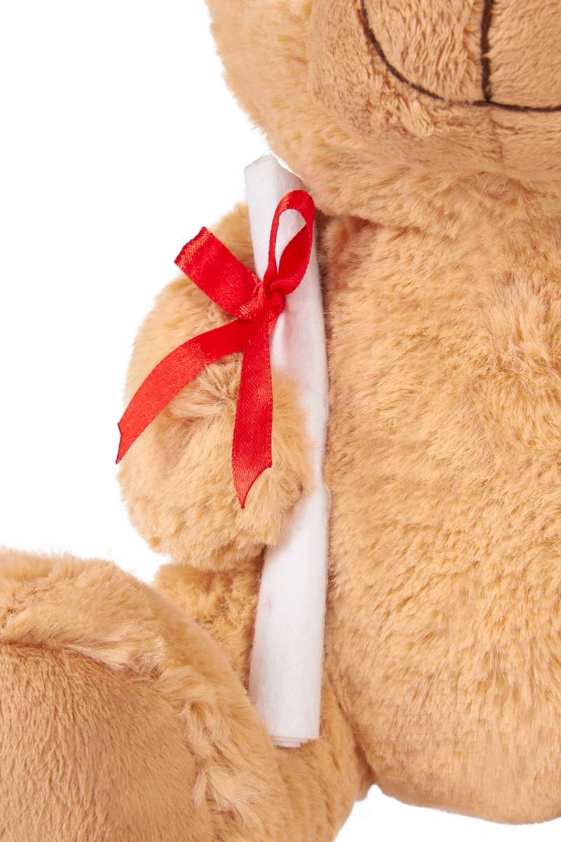 Abschluss-Teddybär Mit Doktorhut & Diplom – 23 Cm, Weich, Süßes Geschenk Für Graduierungen